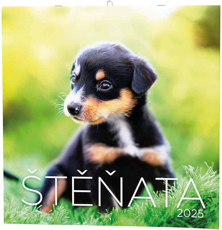 Nástěnný kalendář - Poznámkový - Štěňata