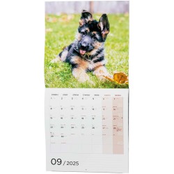 Nástěnný kalendář - Poznámkový - Štěňata
