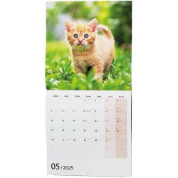Nástěnný kalendář - Poznámkový - Kočky