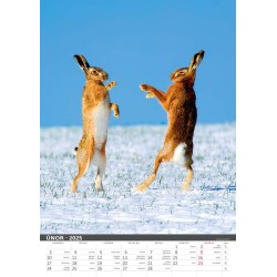 Myslivecký kalendář