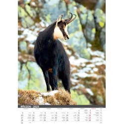 Myslivecký kalendář