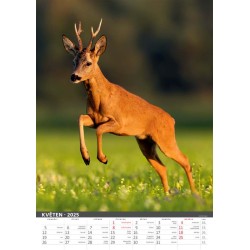 Myslivecký kalendář