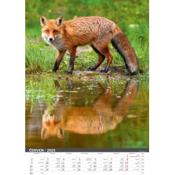 Myslivecký kalendář