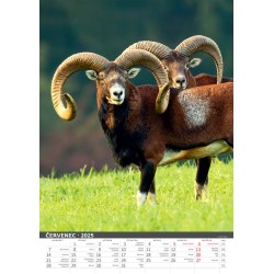 Myslivecký kalendář