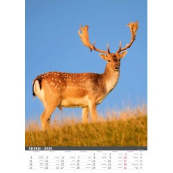 Myslivecký kalendář