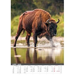 Myslivecký kalendář