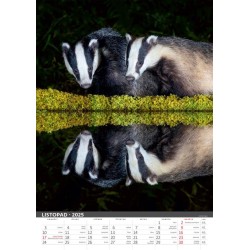 Myslivecký kalendář