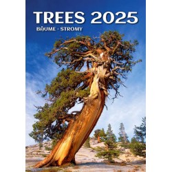 Trees/Bäume/Stromy