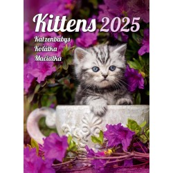 Kittens/Katzenbabys/Koťátka/Mačičky
