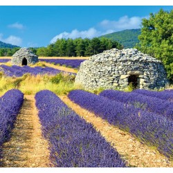 Provence