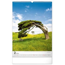 Nástěnný kalendář Stromy 2024, 33 x 46 cm