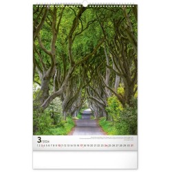 Nástěnný kalendář Stromy 2024, 33 x 46 cm