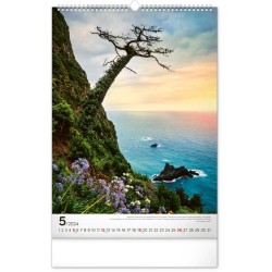 Nástěnný kalendář Stromy 2024, 33 x 46 cm