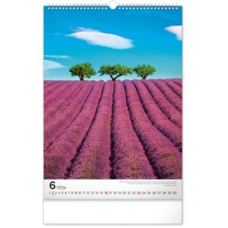 Nástěnný kalendář Stromy 2024, 33 x 46 cm