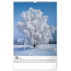 Nástěnný kalendář Stromy 2024, 33 x 46 cm