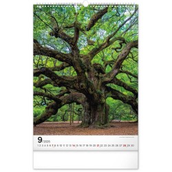 Nástěnný kalendář Voda 2024, 33 x 46 cm