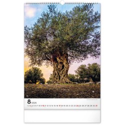 Nástěnný kalendář Voda 2024, 33 x 46 cm