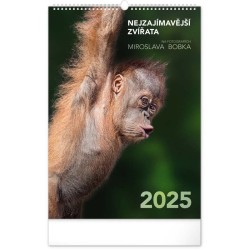 Nástěnný kalendář Za zvířaty do zoo 2024, 33 x 46 cm