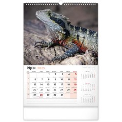 Nástěnný kalendář Za zvířaty do zoo 2024, 33 x 46 cm