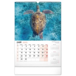 Nástěnný kalendář Za zvířaty do zoo 2024, 33 x 46 cm
