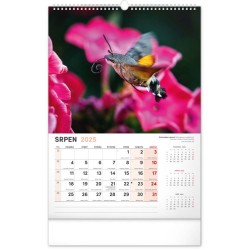 Nástěnný kalendář Za zvířaty do zoo 2024, 33 x 46 cm