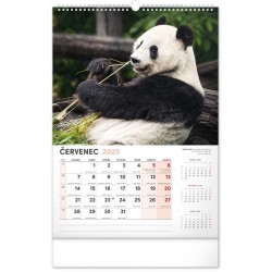 Nástěnný kalendář Za zvířaty do zoo 2024, 33 x 46 cm