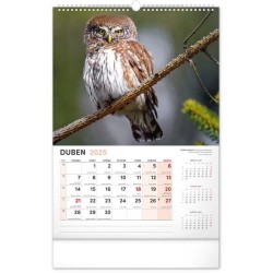 Nástěnný kalendář Za zvířaty do zoo 2024, 33 x 46 cm