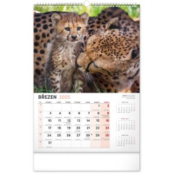 Nástěnný kalendář Za zvířaty do zoo 2024, 33 x 46 cm