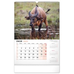 Nástěnný kalendář Za zvířaty do zoo 2024, 33 x 46 cm