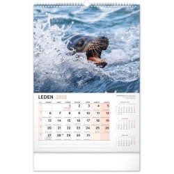 Nástěnný kalendář Za zvířaty do zoo 2024, 33 x 46 cm