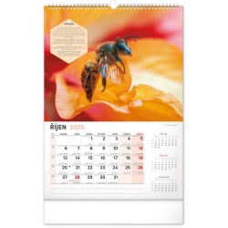 Nástěnný Včelařský kalendář 2024, 33 x 46 cm