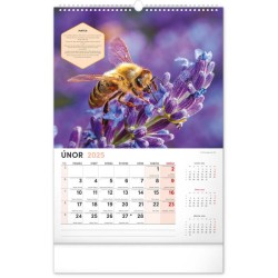 Nástěnný Včelařský kalendář 2024, 33 x 46 cm