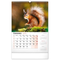 Nástěnný kalendář Myslivecký 2024, 33 x 46 cm