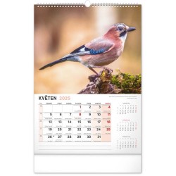 Nástěnný kalendář Myslivecký 2024, 33 x 46 cm