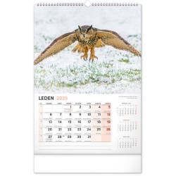 Nástěnný kalendář Myslivecký 2024, 33 x 46 cm