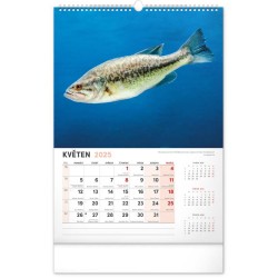 Nástěnný kalendář Rybářský 2024, 33 x 46 cm