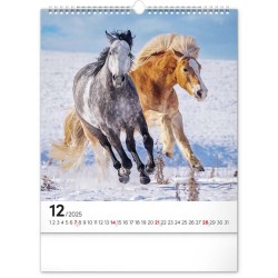 Nástěnný kalendář Koně 2024, 30 x 34 cm