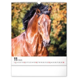 Nástěnný kalendář Koně 2024, 30 x 34 cm