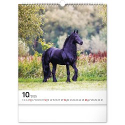 Nástěnný kalendář Koně 2024, 30 x 34 cm