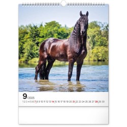 Nástěnný kalendář Koně 2024, 30 x 34 cm