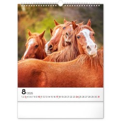 Nástěnný kalendář Koně 2024, 30 x 34 cm