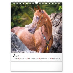 Nástěnný kalendář Koně 2024, 30 x 34 cm