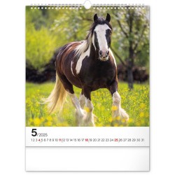 Nástěnný kalendář Koně 2024, 30 x 34 cm
