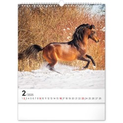 Nástěnný kalendář Koně 2024, 30 x 34 cm