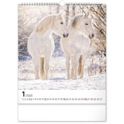 Nástěnný kalendář Koně 2024, 30 x 34 cm