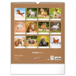 Nástěnný kalendář Koně 2024, 30 x 34 cm