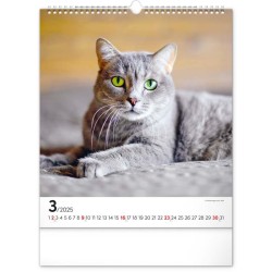 Nástěnný kalendář Kočky 2024, 30 x 34 cm