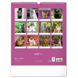 Nástěnný kalendář Kočky 2024, 30 x 34 cm