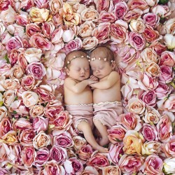 Poznámkový kalendář Babies - Věra Zlevorová 2024, 30 x 30 cm