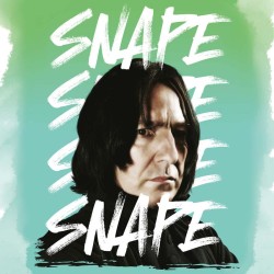 Poznámkový kalendář Harry Potter 2024, 30 x 30 cm